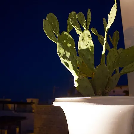 Muragie Del Castello Trani