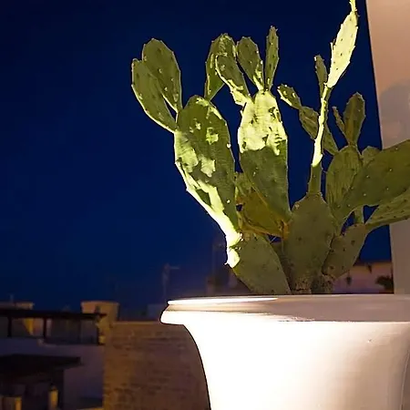 Bed & Breakfast Muragie Del Castello Trani