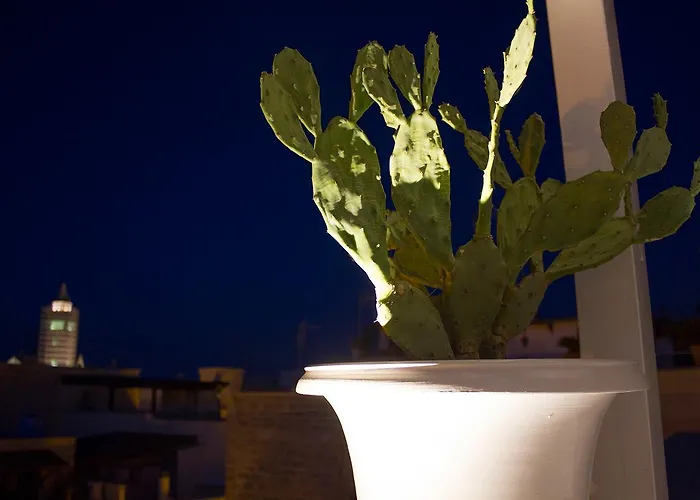 Muragie Del Castello 特拉尼